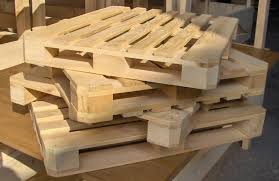 Sektörü / Firma Adı